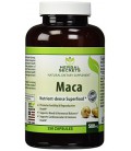 Secrets à base de plantes Maca 500 mg 250 Caps - Prise en charge de la santé de la reproduction - Energizing Herb *