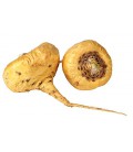 Raw racine de maca poudre fraîche Du Pérou - Certified Organic, Wildcrafted récolte, le commerce équitable, sans OGM, Raw & Veg