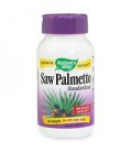 Nature's Way Saw Palmetto, 60 Softgels