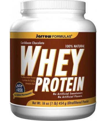 Whey Protein Chocolate - 1 lb - Powder