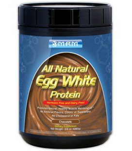MSM Egg White Protein, Chocolate, 1.80-Pound