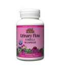 Natural Factors Urinary Flow (Diuretic) Capsules, 90-Count