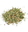 Pipsissewa Herb Wildcrafted Cut & Sifted - Chimaphila umbell