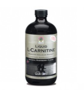 Nature's Answer Liquid L-Carnitine 16 oz ( Multi-Pack)