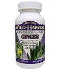 Ginger - Help maintain a healthy appetite, digestion, and ch