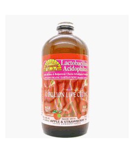 Acidophilus with Natural Apple - Strawberry Flavor Kosher Liquid 16 oz (473 ml)