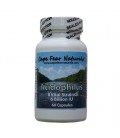 Cape Fear Naturals - Acidophilus - Natural Probiotic - Aids in Digestion - 8 strains/6 billion units, 60 capsules (2 mois)