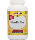 Vitacost Friendly Fiber with FOS & Probiotics -- 240 Capsules