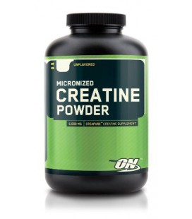 Optimum Nutrition Creatine Poudre, 600g