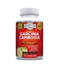 95% HCA Garcinia Extrait Pur meilleur pour la perte de poids Appétit Bloqueur de Glucides et brûleur de graisse Veggie Capsule