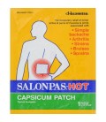 Pack de 2 boites de Patches Chauds au Capsium