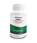 Real Herbs Extrait Echinacea - Dérivé de 2000mg de Echinacea purpurea Racine par portion avec 4- 1 Extrait Force - le système