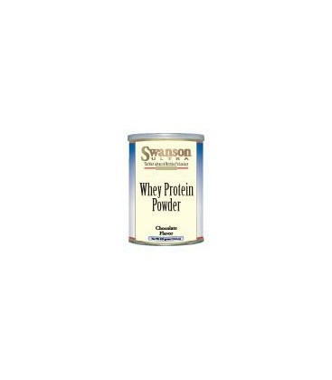 Whey Protein Powder Chocolate 420 grams (14.8 oz) Pwdr