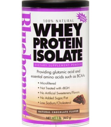 Whey Protein Isolate Chocolate - 1 lb - Powder