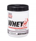 Hammer Hammer Pro Whey 24 serving