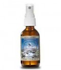 Sovereign Silver 2 oz Fine Mist Spray