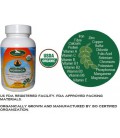 Organic Moringa Leaves 120 Veg Capsules 380 mg. *** USDA Certified Organic *** 100% Natural Herbal Dietary Supplement