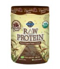 Garden of Life Raw Organic Protein Chocolate, 650 Gram