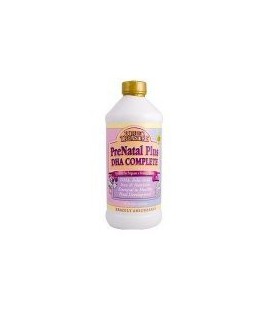 Buried Treasure - Prenatal Plus Dha Complete, 16 fl oz liquid