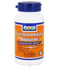 Saccharomyces Boulardii - 60 - Veg Cap