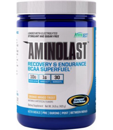 Gaspari Nutrition - AminoLast Recovery & Endurance BCAA Superfuel Fruit Punch 30 Servings - 14.8 oz.