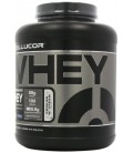 Cellucor COR Performance Cookies and Cream Whey Protein - 25g of Protein and 5.5g of Natural BCAAs - 4lbs