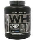 Cellucor COR Performance Cookies and Cream Whey Protein - 25g of Protein and 5.5g of Natural BCAAs - 4lbs