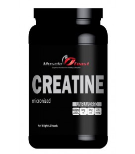 Micronized Creatine Powder 4 Pounds