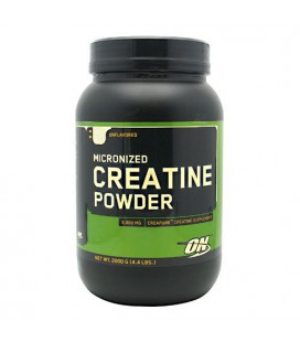 Optimum Nutrition Micronized Creatine Powder Unflavored - 2000 g (4.4 lbs)