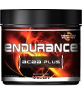 Formutech Nutrition Endurance BCAA Plus Orange - 30 Servings