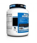 BPI Bulk Muscle Protein Powder, Chocolate Peanut Butter, 5.82 Pound