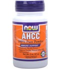 NOW Foods Ahcc 100% Pure Powder, 2 Ounces