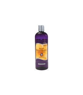 Now Foods Moisture Shampoo, Citrus, 16-Ounce