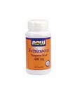 NOW Foods Echinacea, 100 Capsules / 400mg (Pack of 3)